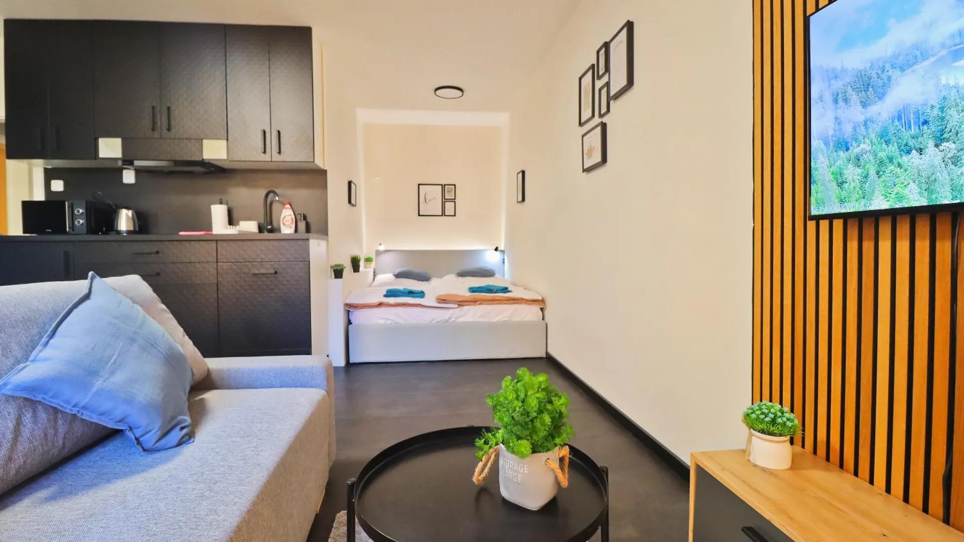 A Comfy Apartment In Smichov - Andel Prague 0*,